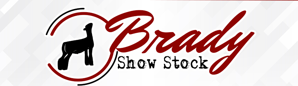 Brady Show Stock