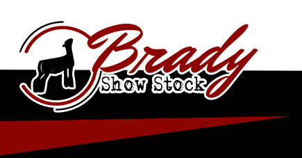 Brady Show Stock